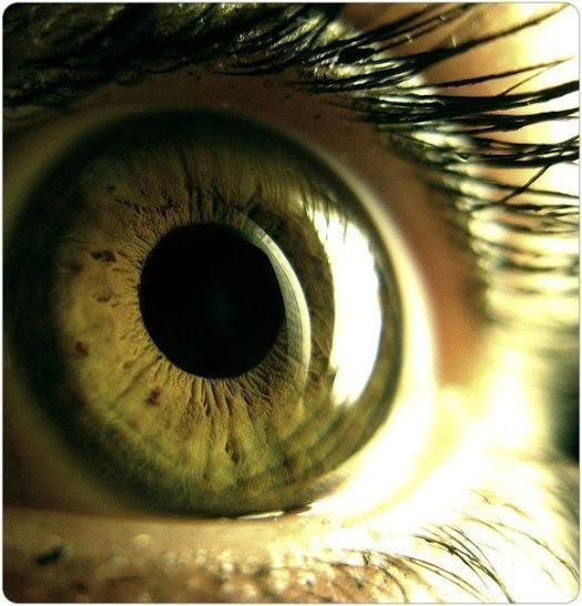 Beautiful Eyes Gallery Introspective World