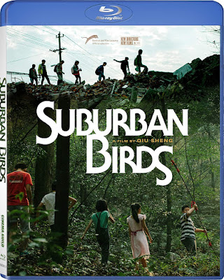 Suburban Birds 2018 Bluray