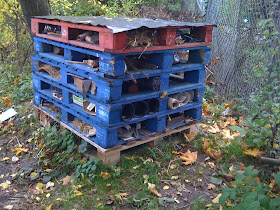 I'm a teacher, get me OUTSIDE here!: Asphalt to Ecosystems: An ...