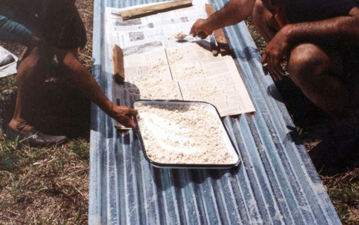 O que leva uma pessoa a se viciar em drogas?