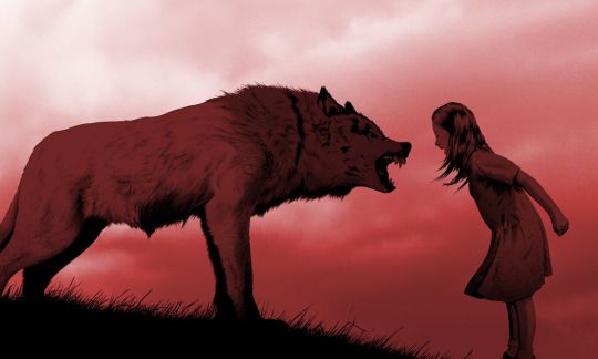 7 frases geniales del libro “Las mujeres que corren con los lobos” - EL  CLUB DE LOS LIBROS PERDIDOS