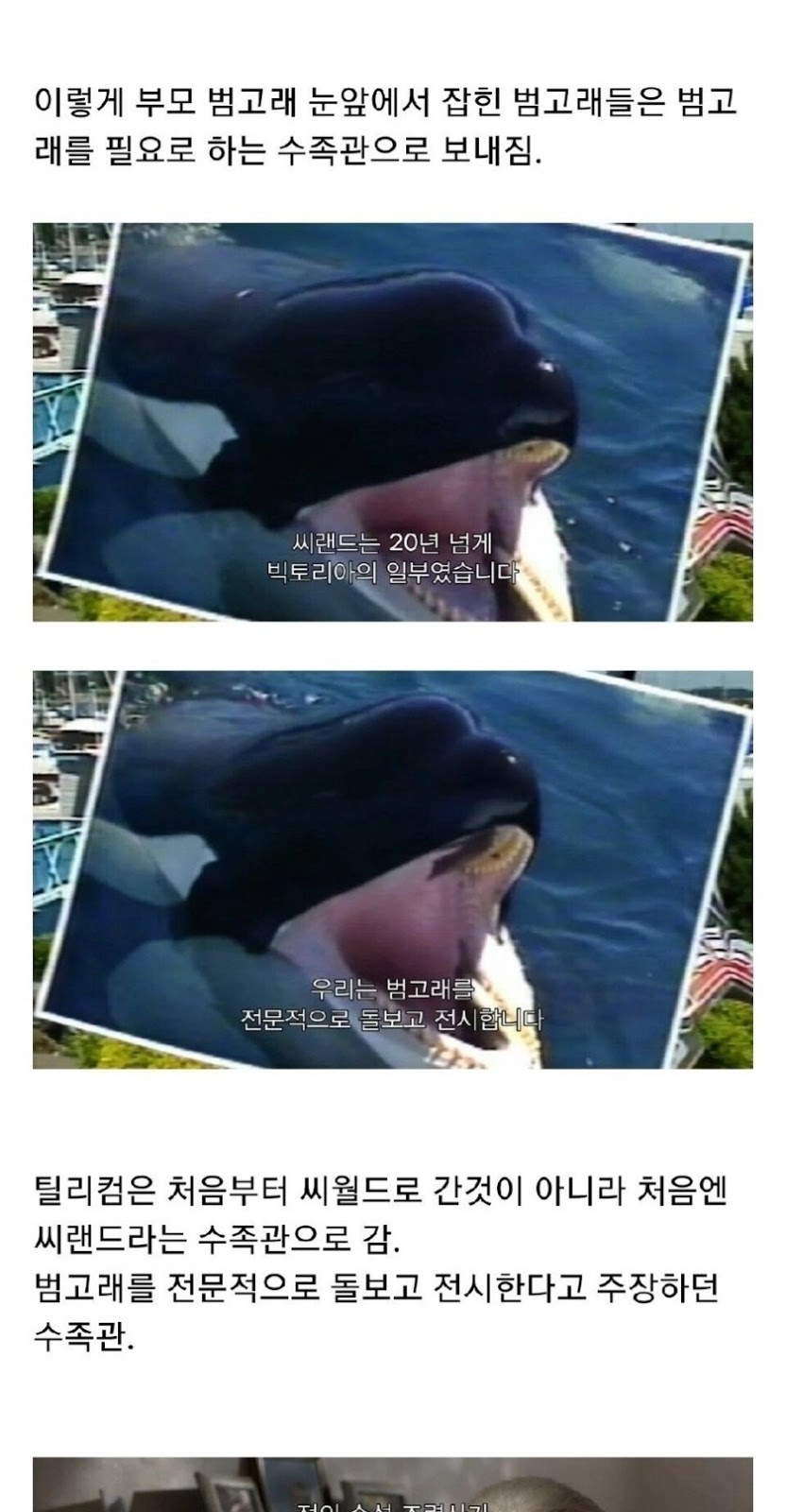 범고래 습격 사건