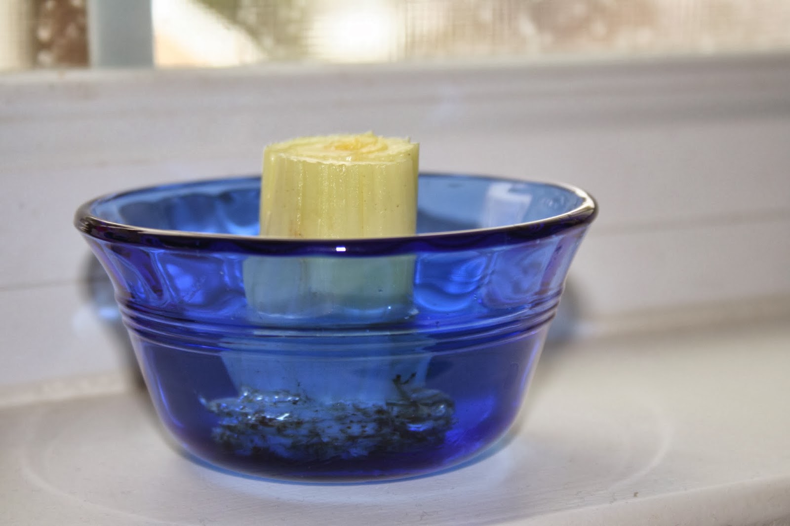 NOVA Frugal Family Thrifty Thursday What to Do with Wilted Celery and