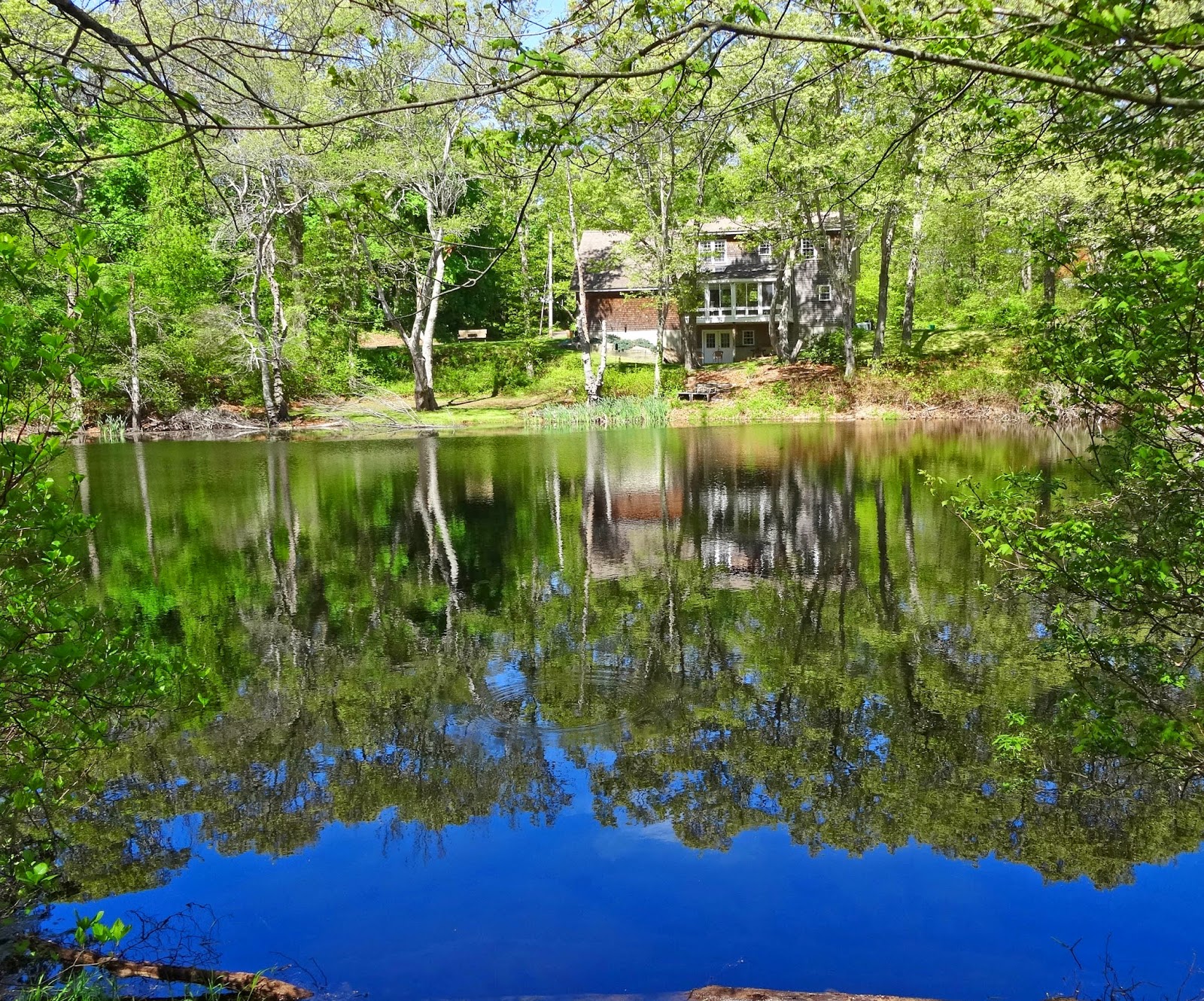 Joe's Retirement Blog Walk Around a Pond, Manomet, Plymouth