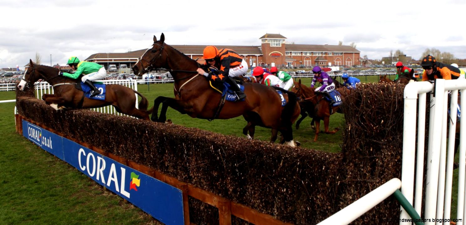 Grand National Runner By Runner A Z Preview