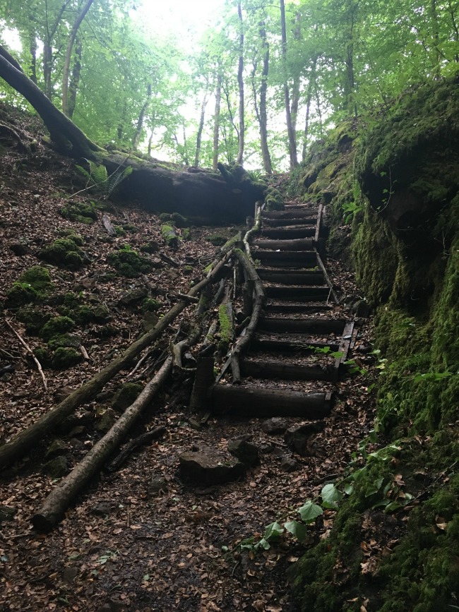 Fforest-Fawr-Sculpture-Trail-image-of-steps-up-from-cave