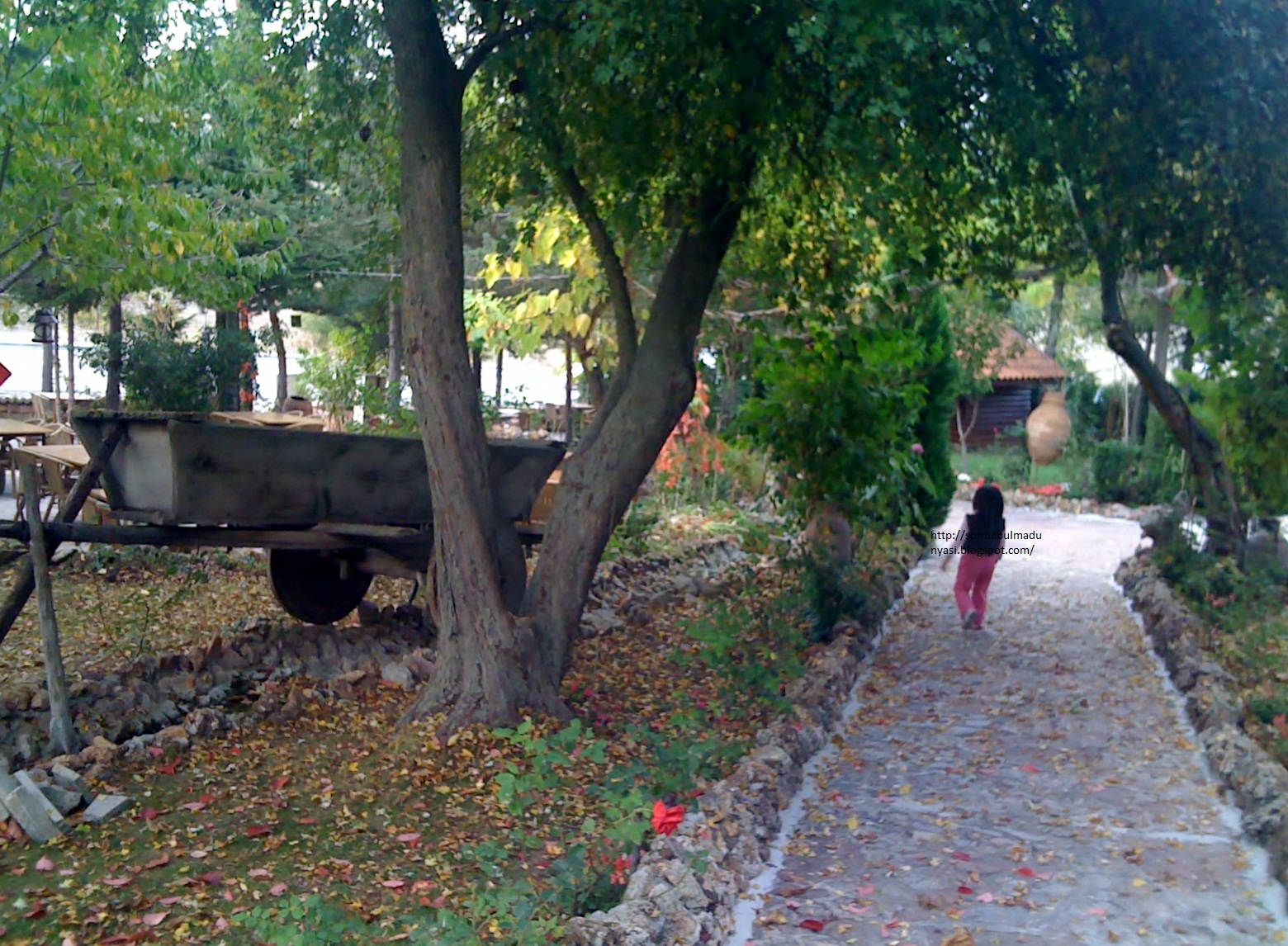 Fili tuttuğum yerden bir de ben tarif edeyim&hellip; Çorum�da Nerede Yemek