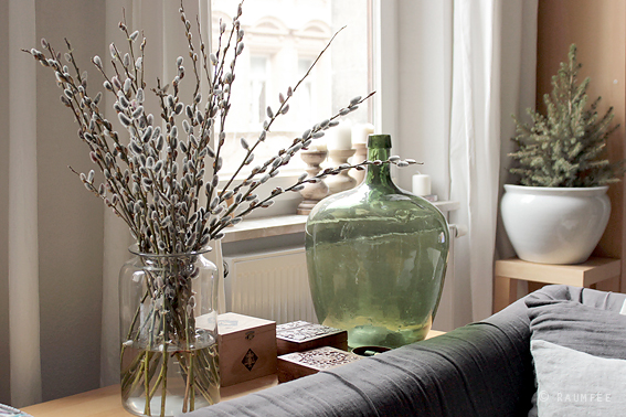 Raumfee: Die Weidenkätzchen.