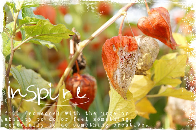 de kat die krabt de krullen van de trap: Inspire