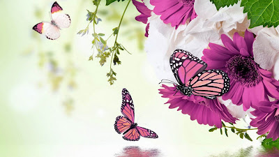 Resultado de imagen para wallpaper de flores hermosas