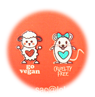 Vegano: Shampoo Creoula da Lola Cruelty Free e Sem ingredientes derivados de Animais - Liberado para Low Poo