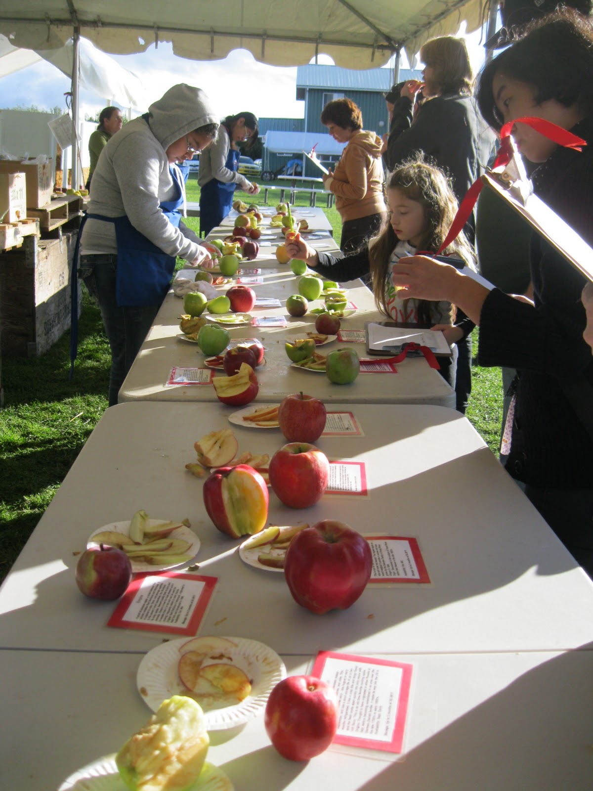 The Reuland Family Heirloom Apple Festival