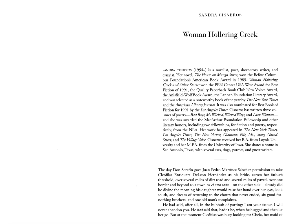 Woman hollering creek character analysis image
