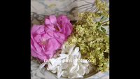 garden-flowers-for-Puja.png