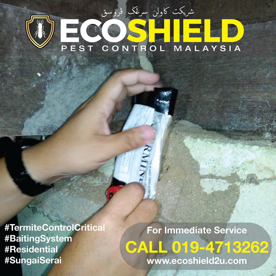 TERMITE CONTROL HULU LANGATEco Shield Pest Control Malaysia