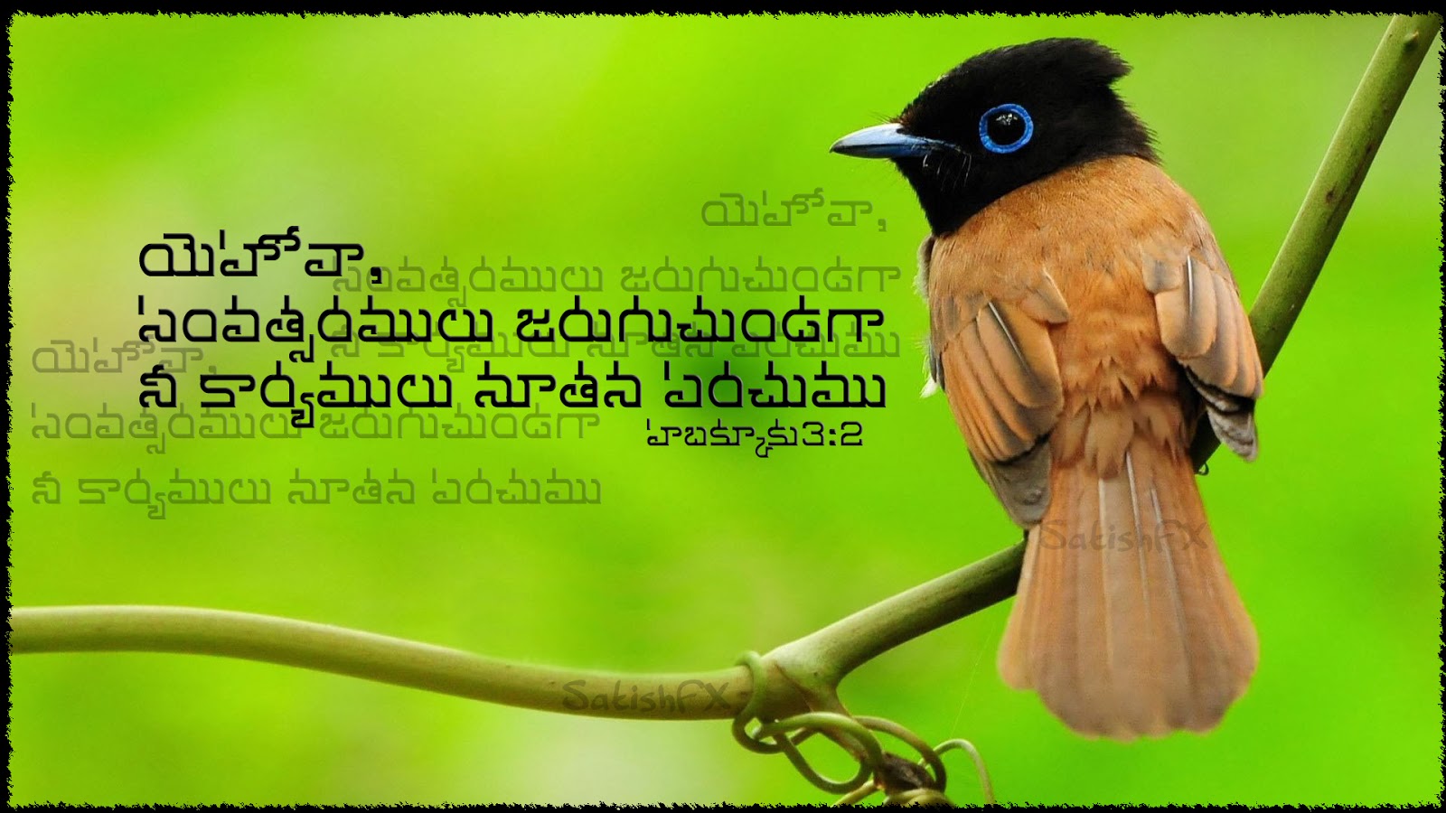 TELUGU CHRISTIAN BIBLE VERSES WALLPAPERS - I ~ Freely you have received ...