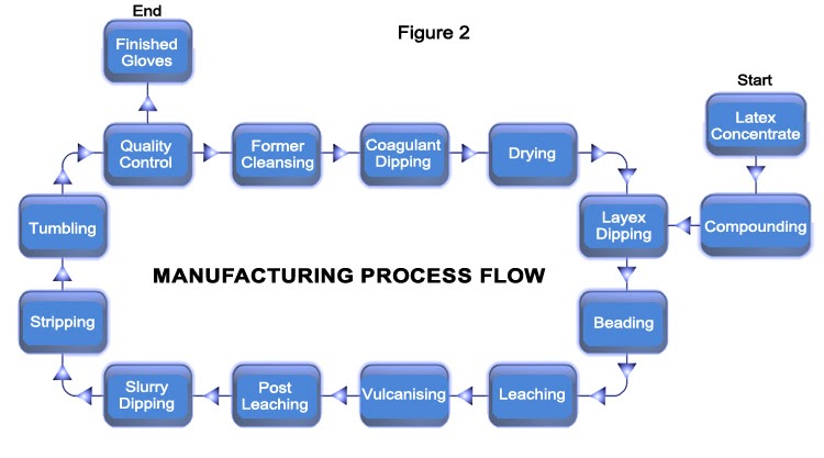 Latex gloves: Steps in the Manufacturing Process
