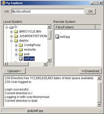 ftp client download method vb net ftp client download method vb net