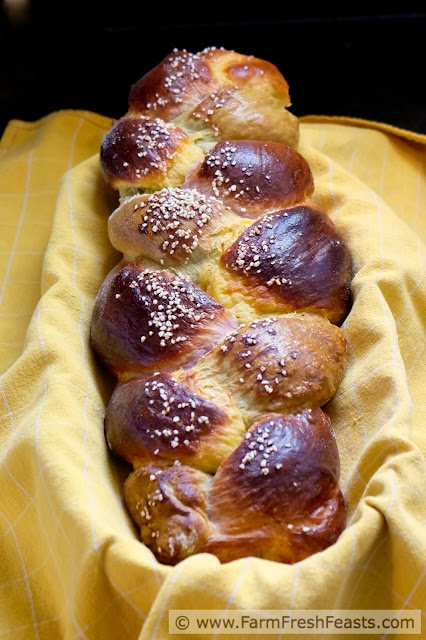 This festive bread is naturally colored with sweet potatoes and green tea to make a sweet braided loaf that's fun and nutritious. A wholesome way to let the good times roll.