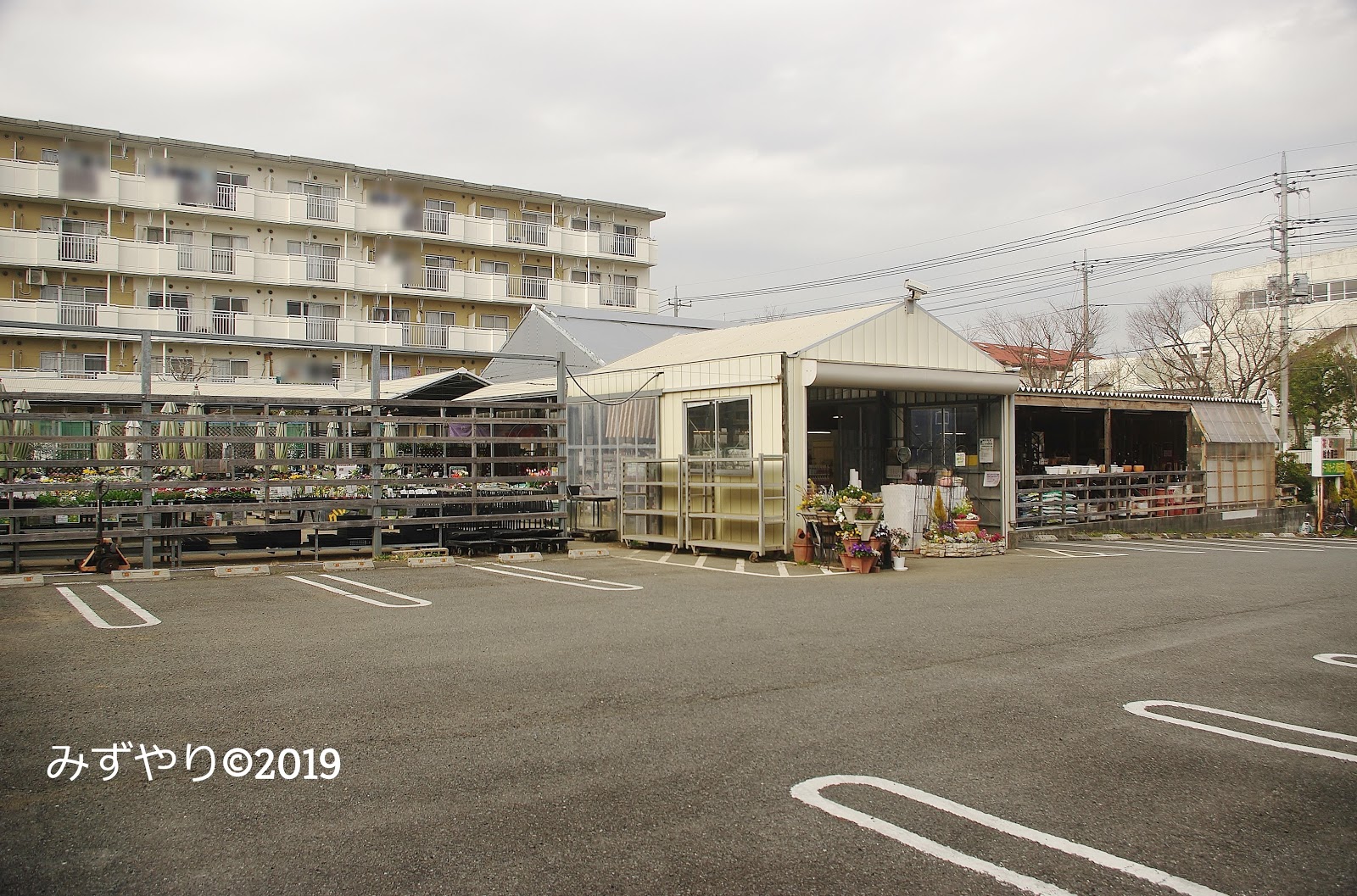 あこがれの場所へ 「テーブルガーデン 鴨志田店」へ行ってきたョ（横浜市青葉区） キレーなガーデニングショップ 一通り揃えれそう♪