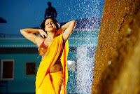 veena_malik_nagna_satyam_hot_stills_toll