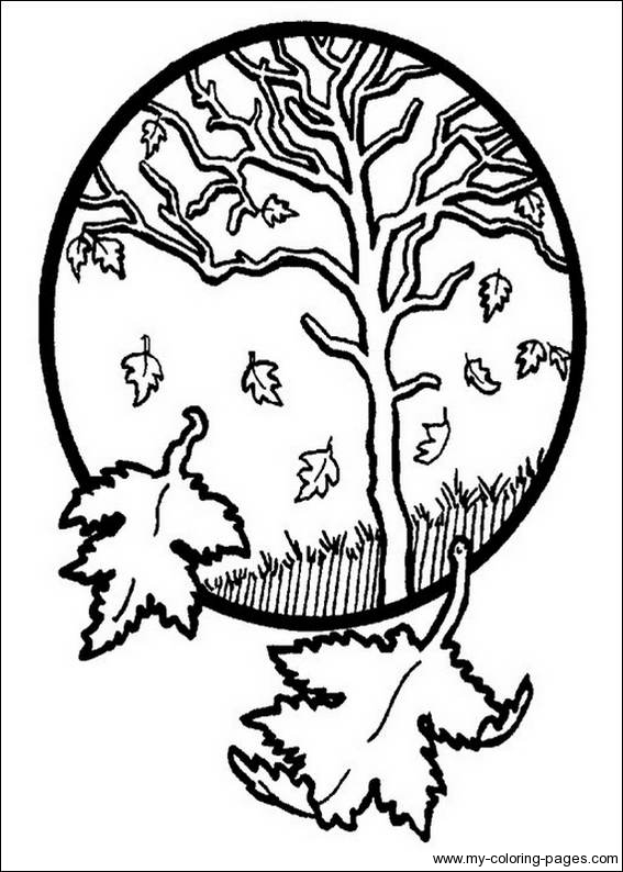 Desenhos de Outono para colorir, pintar, imprimir!ESPAÇO EDUCAR