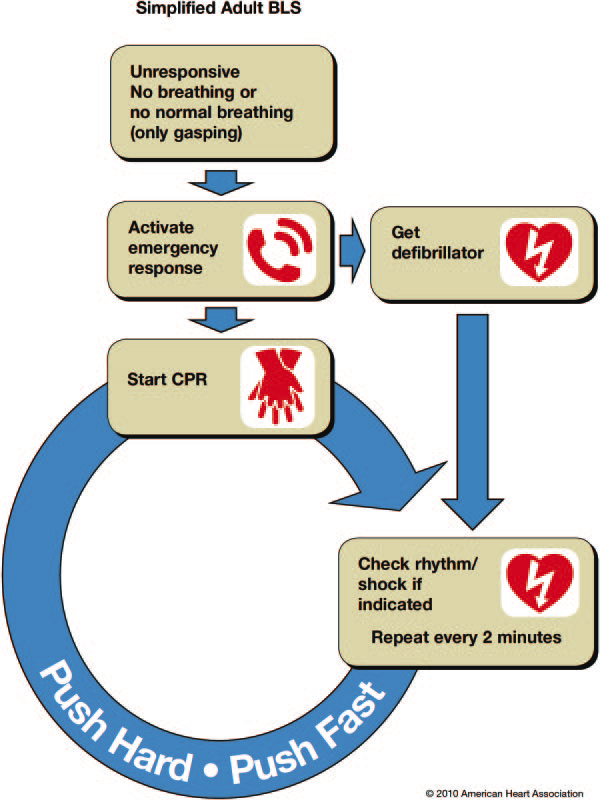 CPR MED EQUIP ALGORITMO BLS CPR MED EQUIP ALGORITMO BLS