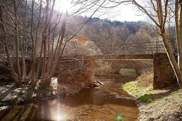 Traumpfad Eltzer-Burgpanorama  Premiumwanderweg  Traumpfade Rhein-Mosel-Eifel-Land  Wanderung Burg-Eltz 08