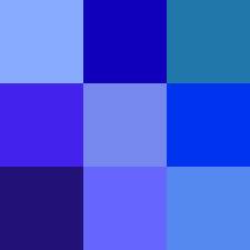 THE COLOR OF THE LIFE