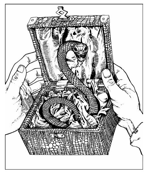 Your Adventure Ends Here: The Warlock of Firetop Mountain - Attempt 1, Part  1