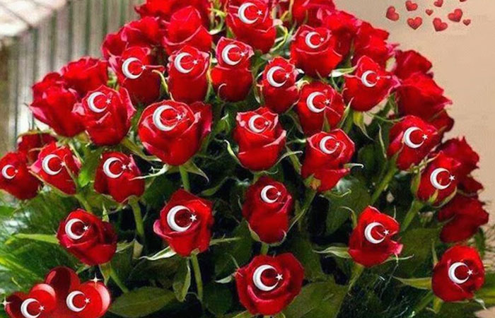 Turk bayragi gul resimleri 5