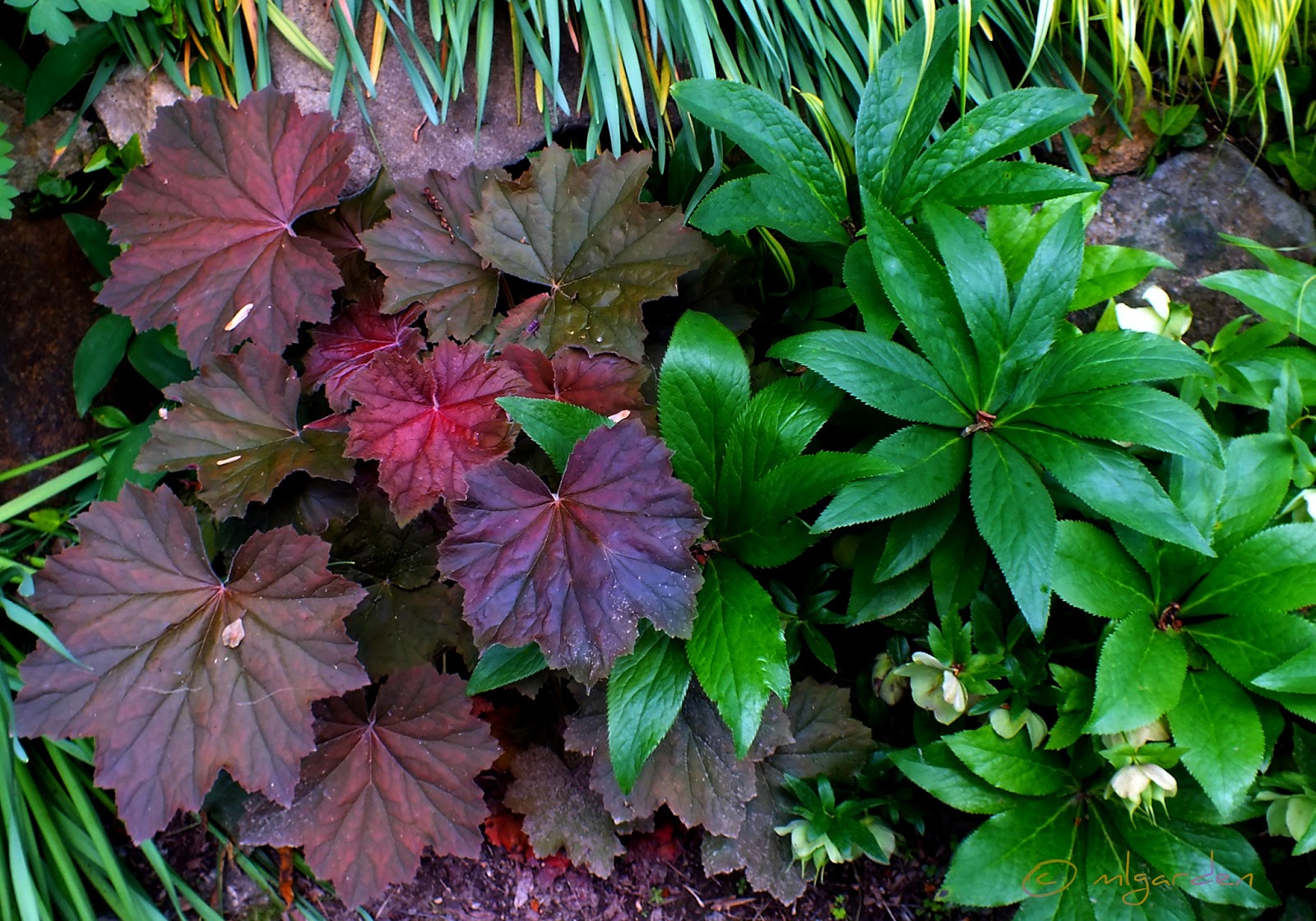 Garden Design Ideas The Layered Garden