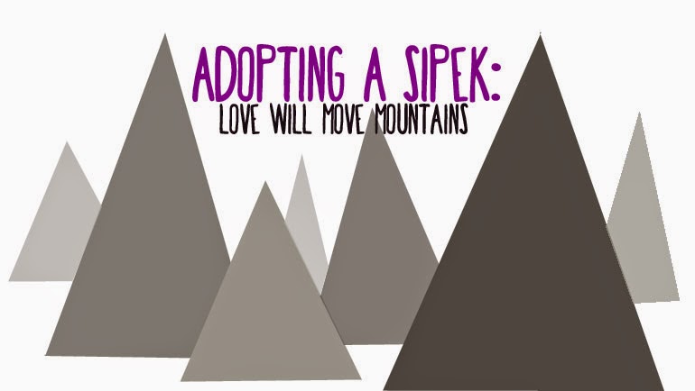 Adopting a Sipek