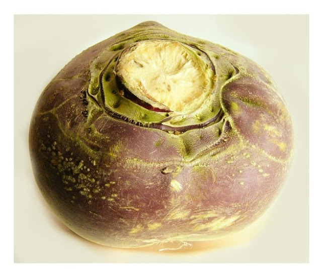 Scottish Turnip
