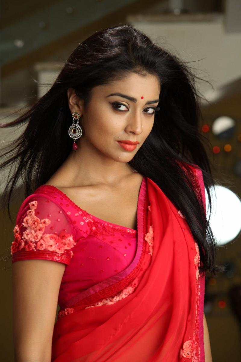 Shriya Saran South Indian Beautiful Actress HD Wallpaper | XXX Blog