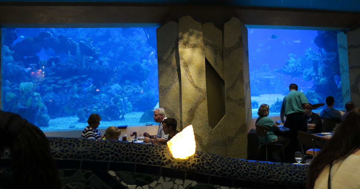 Goth Gourmande: Review: Coral Reef Restaurant, EPCOT at Disney World