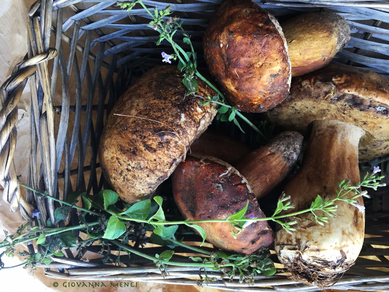 Zuppa di funghi porcini