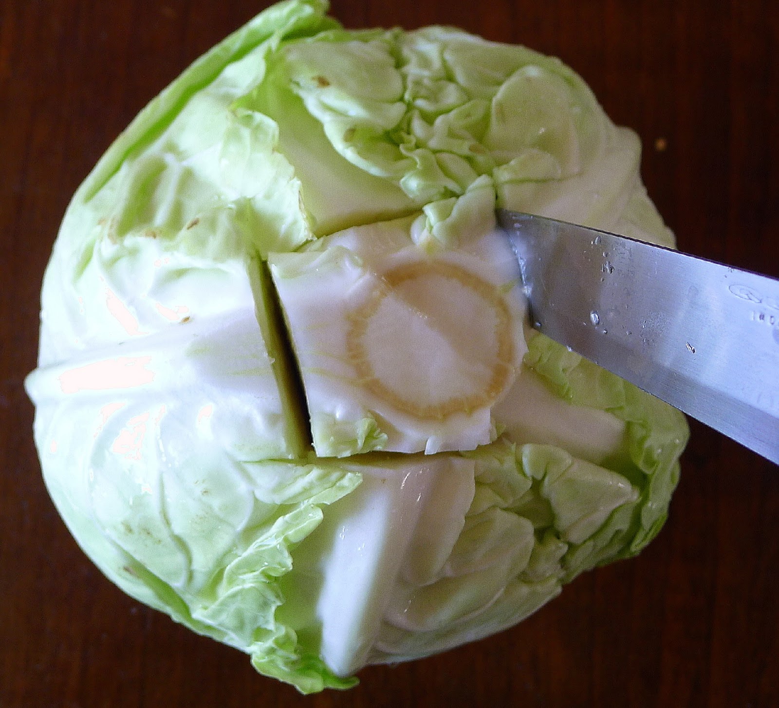 MY KITCHEN IN SPAIN THE CABBAGE IS ON A ROLL