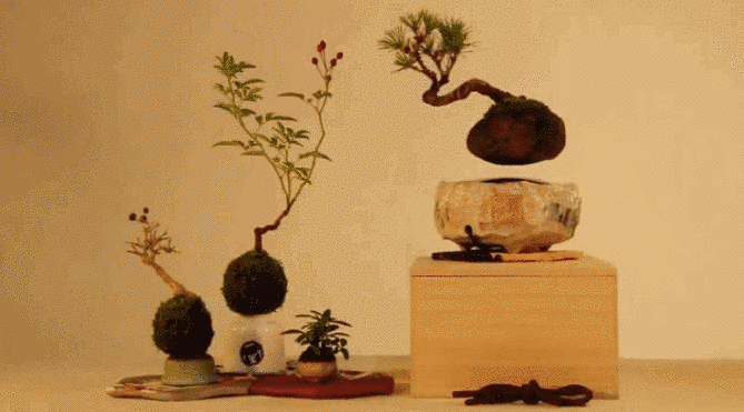 PENGEMBANGAN TEKNOLOGI BONSAI TERBANG  (Air Bonsai)