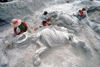 Bir kazı alanında bir dinozor fosilinin etrafında çalışan arkeologlar