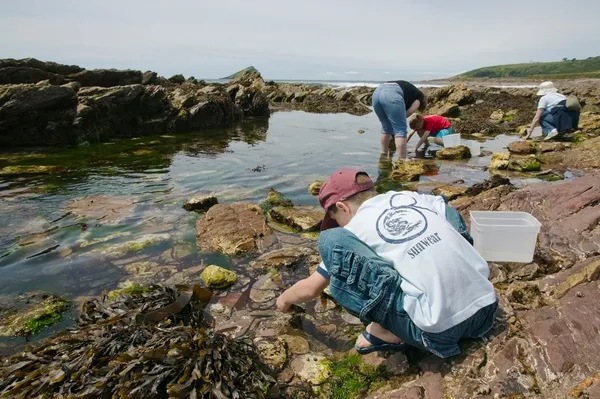 A rockpool safari at Wembury Marine Centre. Photo copyright Nigel Hicks (All rights reserved)