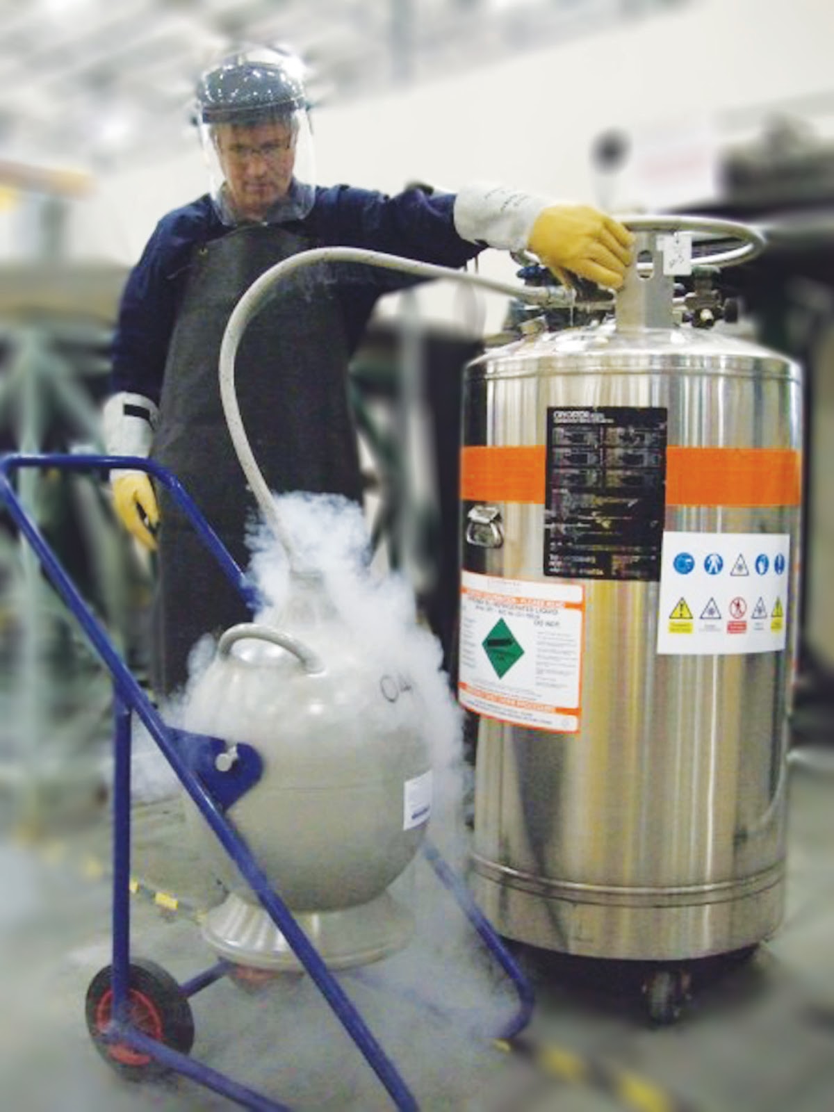 EH3100 Handling Cryogenic Gases Safely