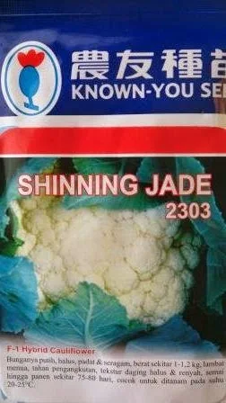 cepat panen, umur genjah,andalan petani, crop bulat, tahan HPT, tahan akar gada, Tahan Busuk, Cepat Panen, Crop Putih, Known You seed, Shinning Jade, Murah, Gratis, 2303, Dataran Menengah