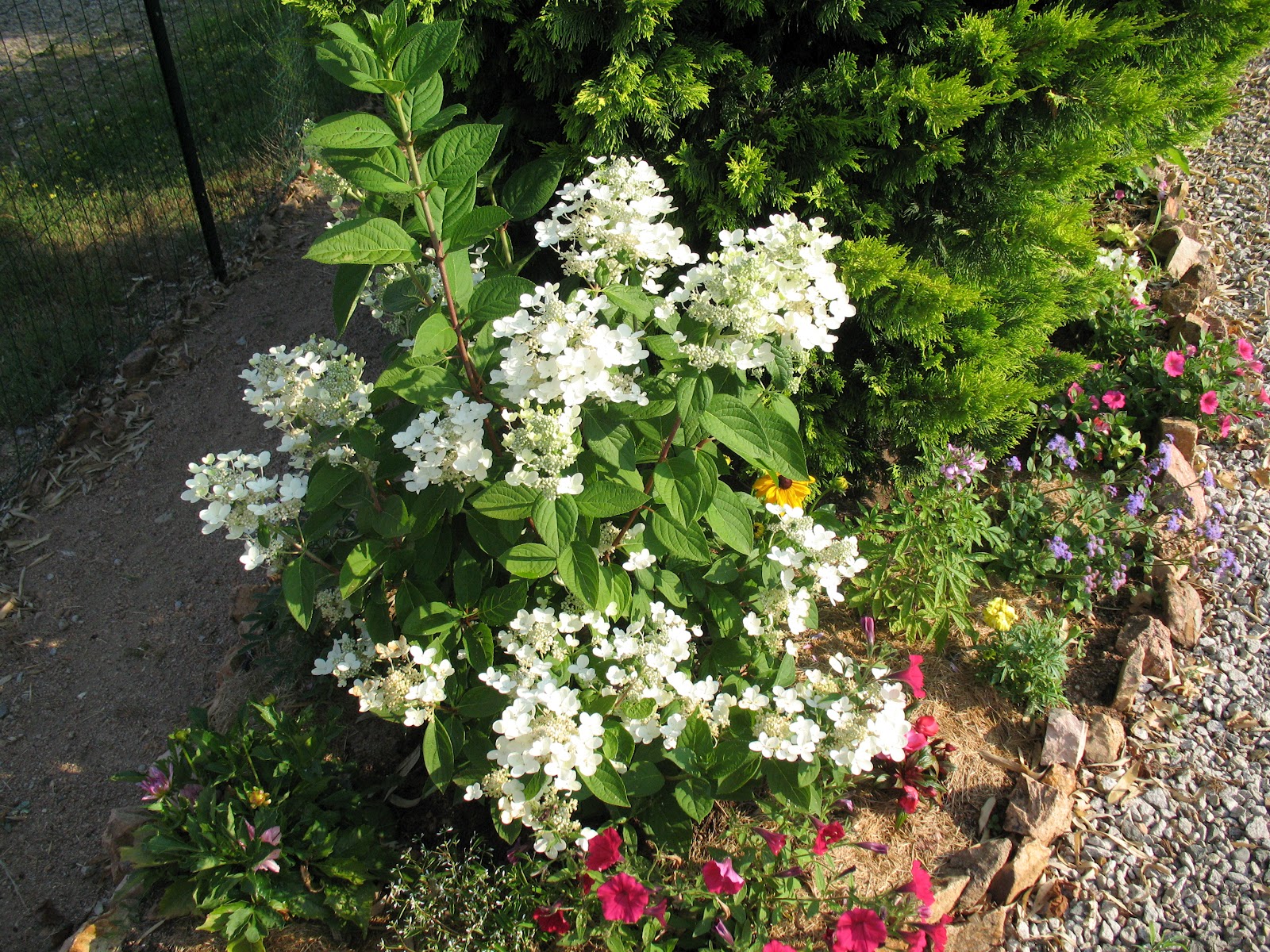 Catalogue Courson 2014 Site By Domaine De Courson Issuu