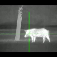 Pengaruh Warna Laser Terhadap Hewan Buruan