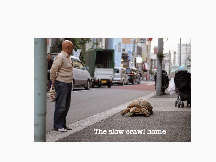 The slow crawl home