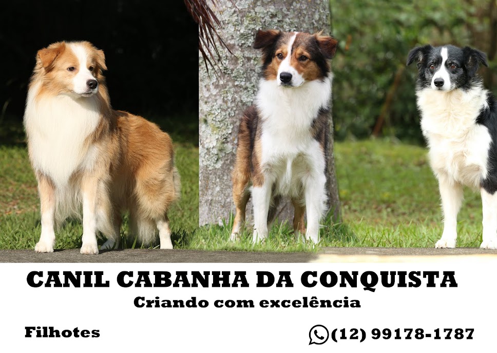 CANIL CABANHA DA CONQUISTA