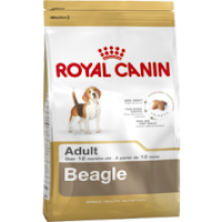  Royal Canin Beagle