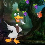Games4King Domestic Duck Escape Walkthrough