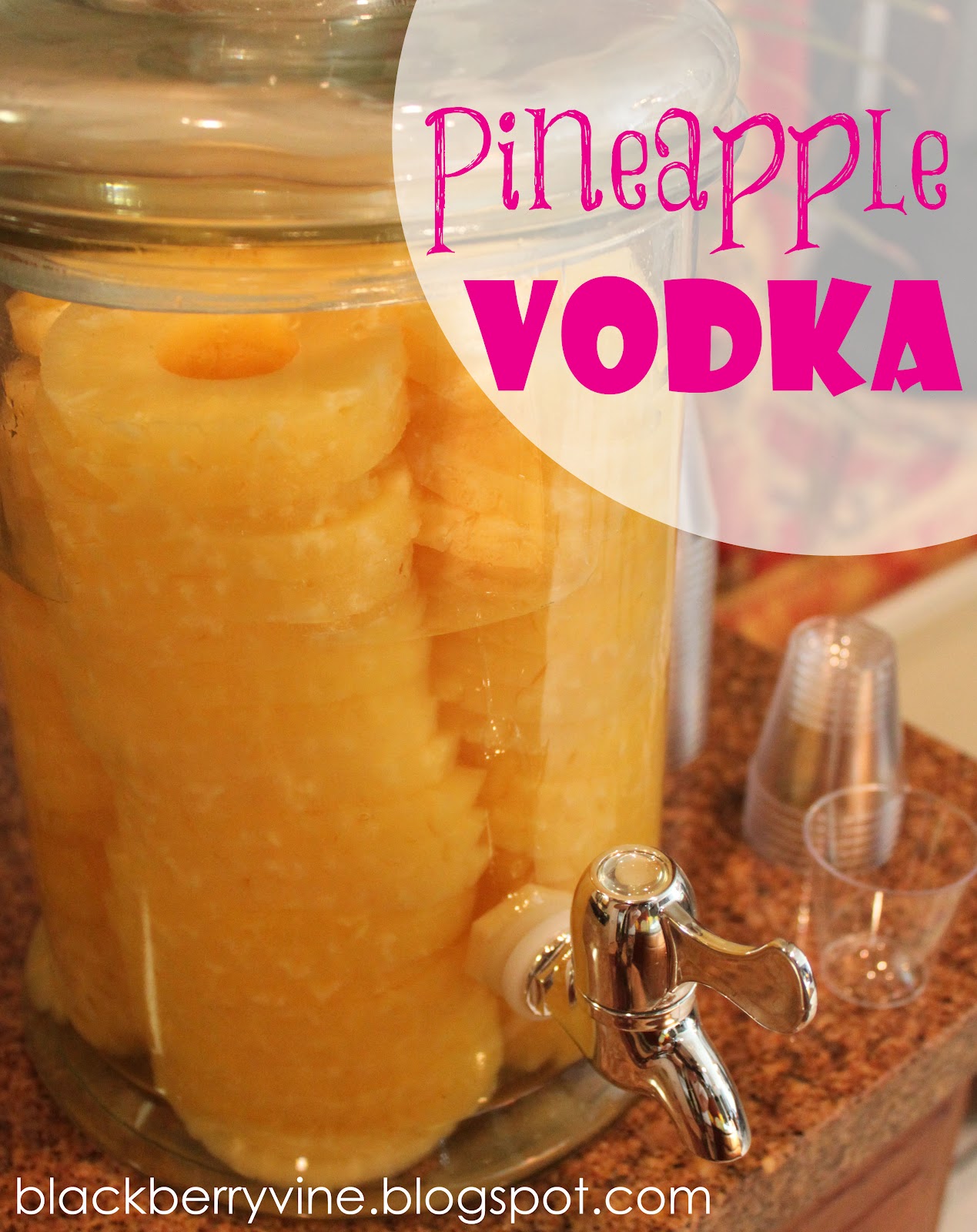 The Blackberry Vine Pineapple Vodka